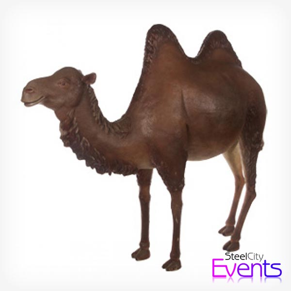 Large Camel